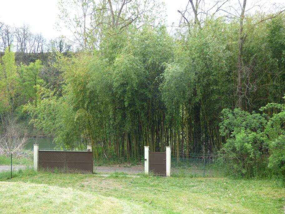 Gite O Fil Du Tarn Lescure-d'Albigeois Exterior photo